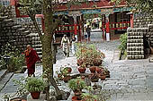 Norbulingka Institute - Kangra Valley 